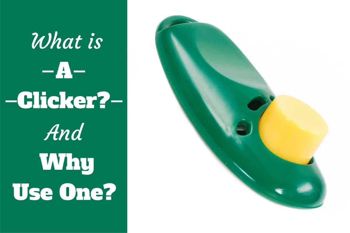 What is a clicker and why use one? An introduction to event markers